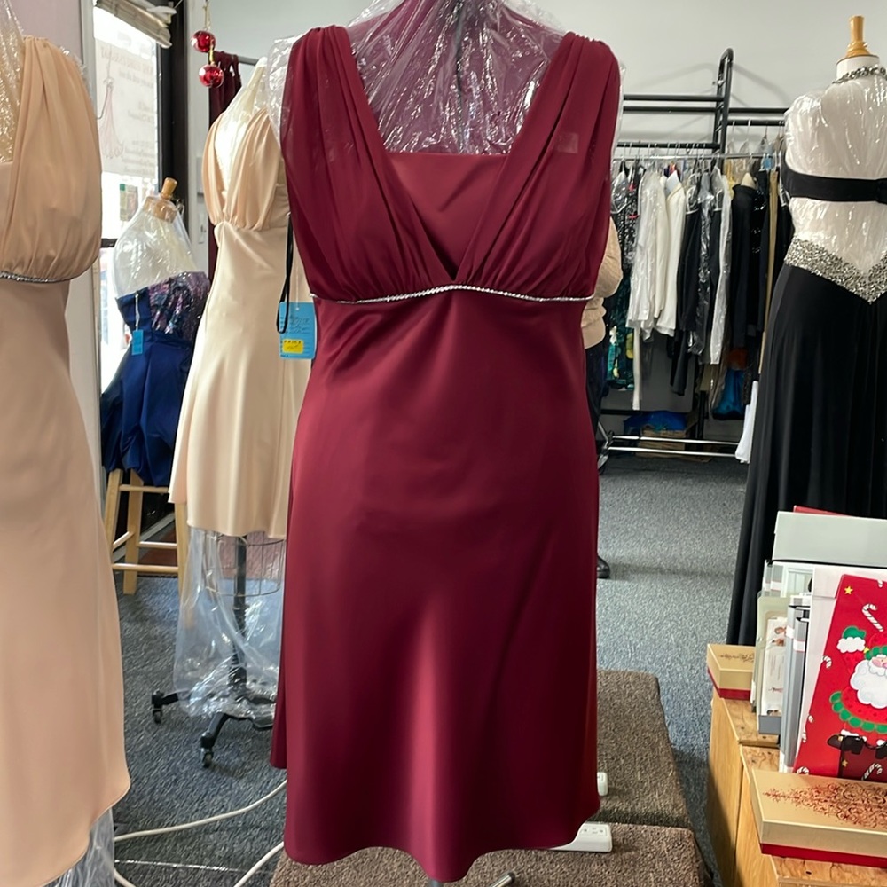 Thea Dora Burgundy dress size 20